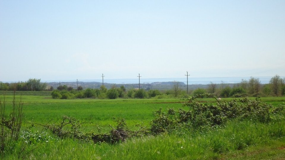 Agricultural land with the  sea view