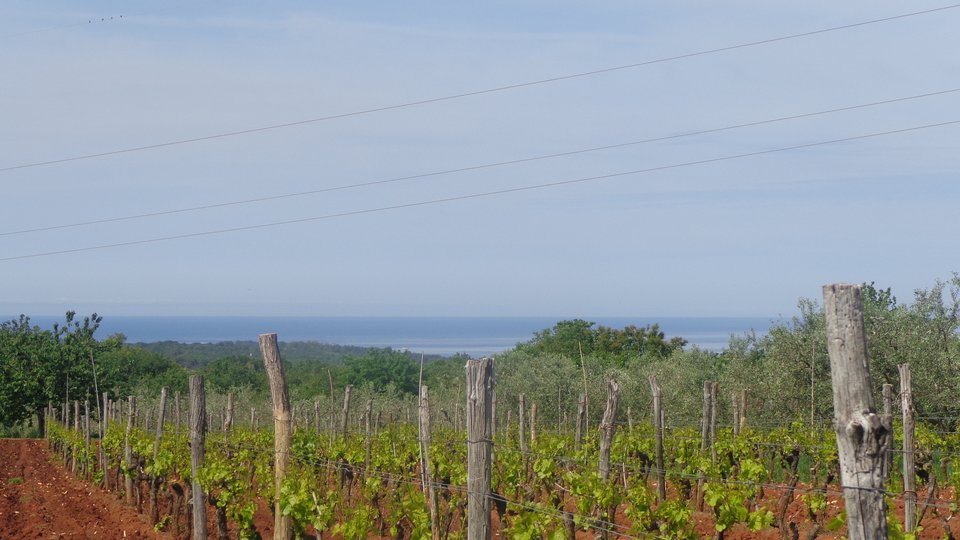 Agricultural land with the  sea view -URGENT