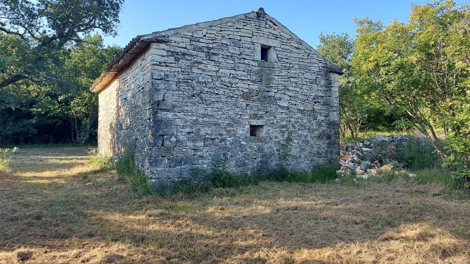 Great opportunity, we sell the whole hill overlooking the sea and with a small house near Rovinj