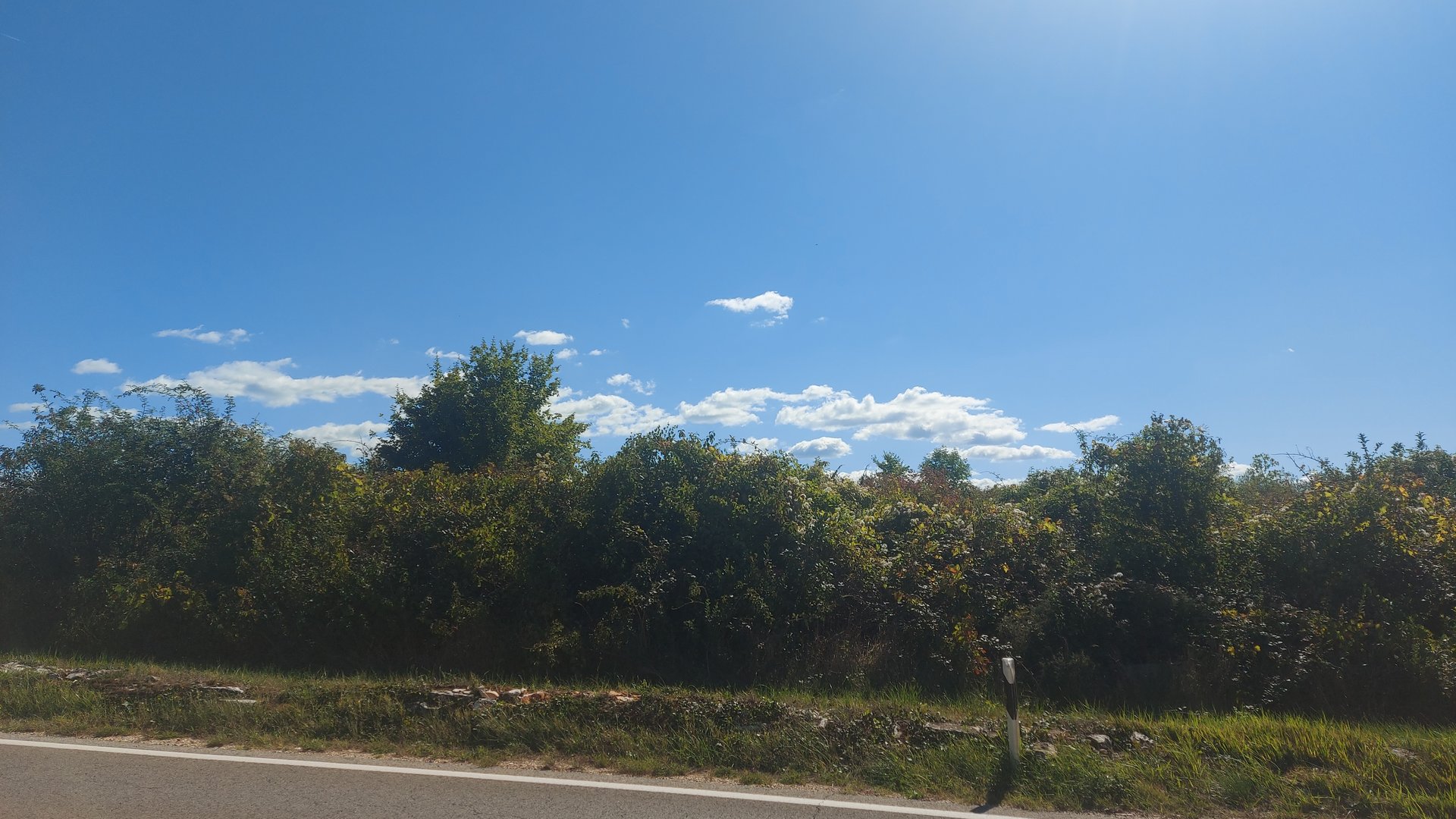 Building land  near  Umag with an attractive price