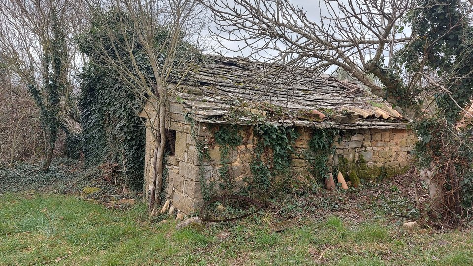 Kamena istarska kuća u okolici Buja