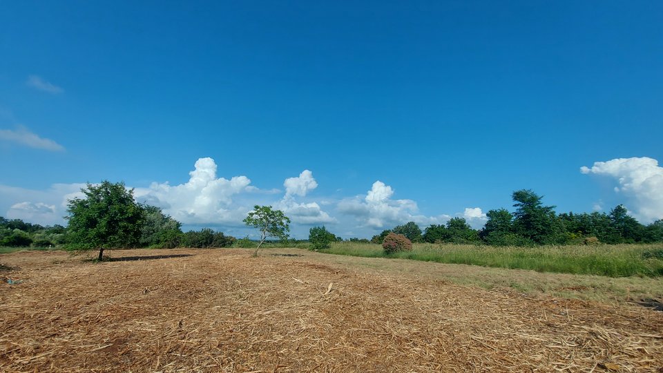 Bauland in der Nähe von Umag