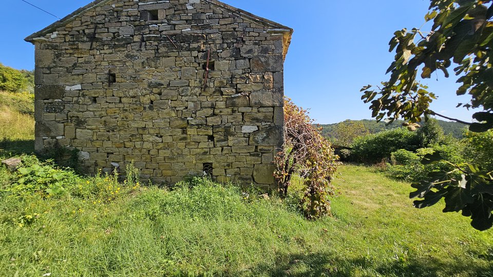 Stone Istrian house in the vicinity of Buje