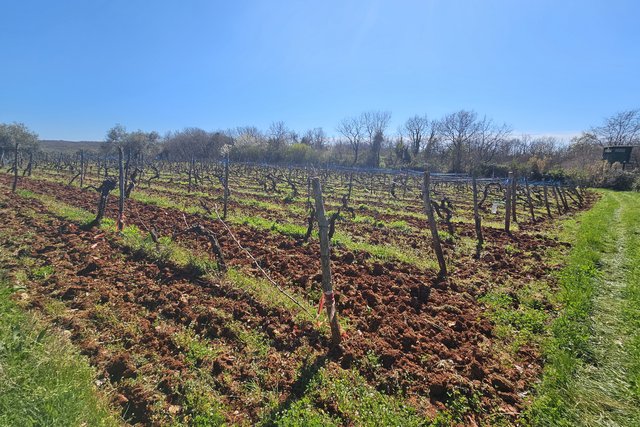 Agricultural land near Karigador, only 2.5 km from the sea and the beach
