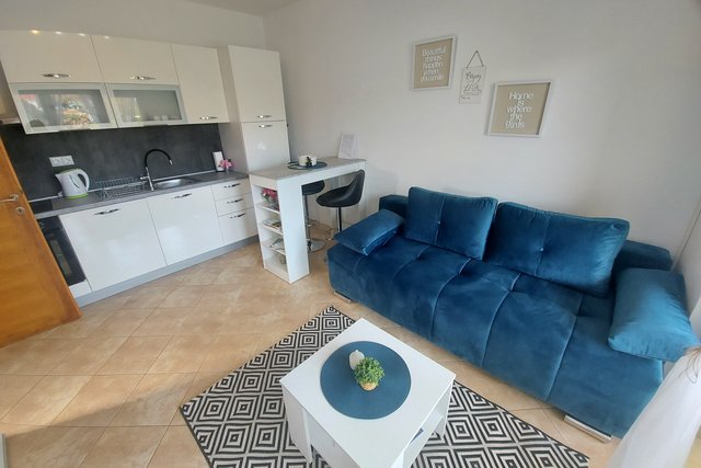 Apartments near the beach and the sea in the vicinity of Novigrad