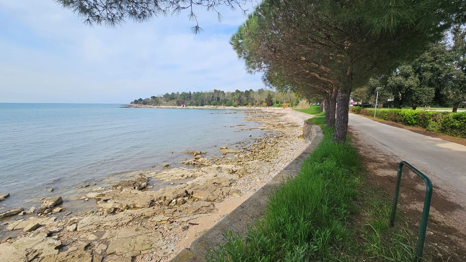 Building land in Savudrija near the sea