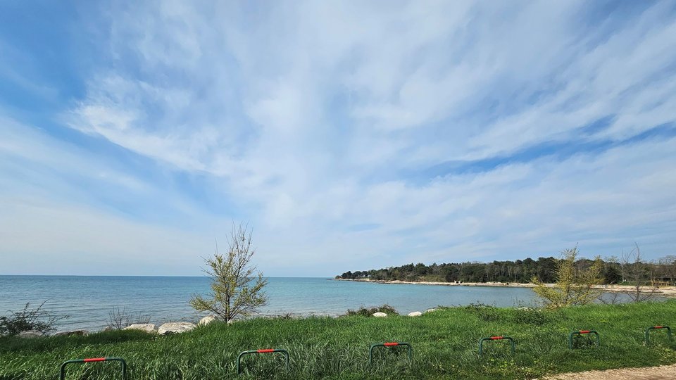 Građevinsko zemljište u Savudriji  blizu  mora i plaže