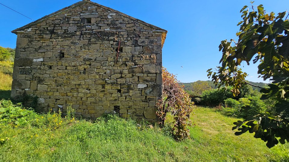 Stone houses in the surroundings of Grožnjan with a large plot of land and open view