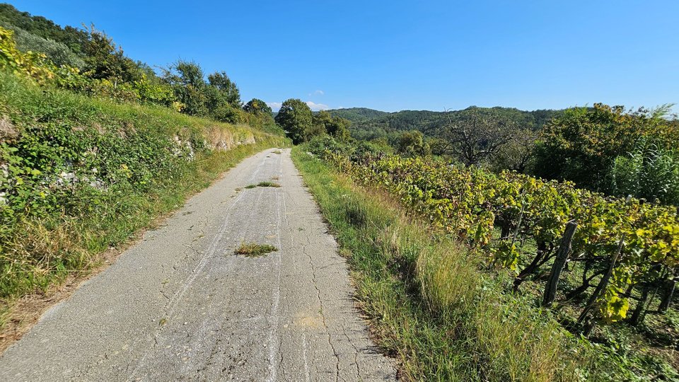 Stancija u okolici Grožnjana s velikim terenom  i otvorenim pogledom