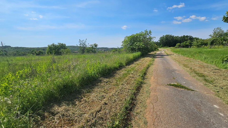 Charming Istrian stone house with an open view and a large field