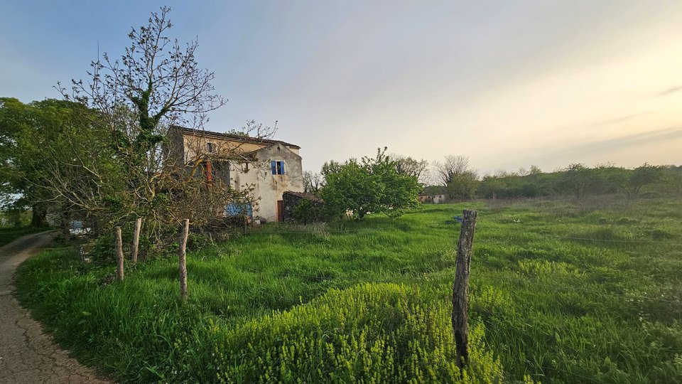 Charming Istrian stone house with an open view and a large field