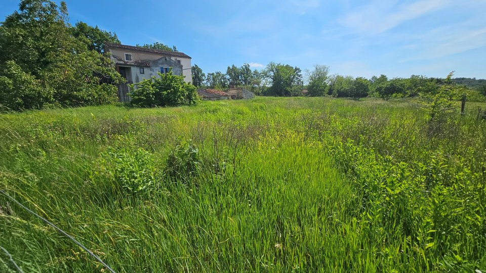 Incantevole casa in pietra d'Istria con vista aperta e grande terreno