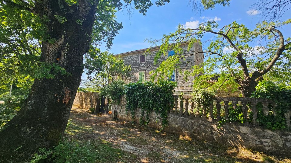 Charming Istrian stone house with an open view and a large field